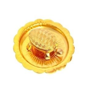 Best Fengshui Tortoise Turtle for Good Luck