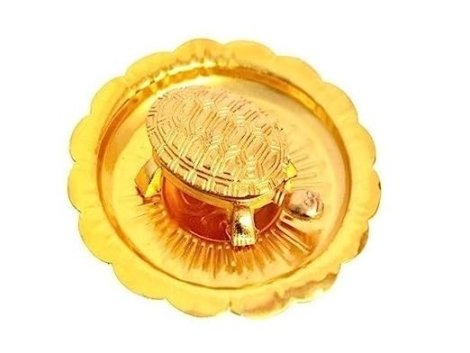 Best Fengshui Tortoise Turtle for Good Luck
